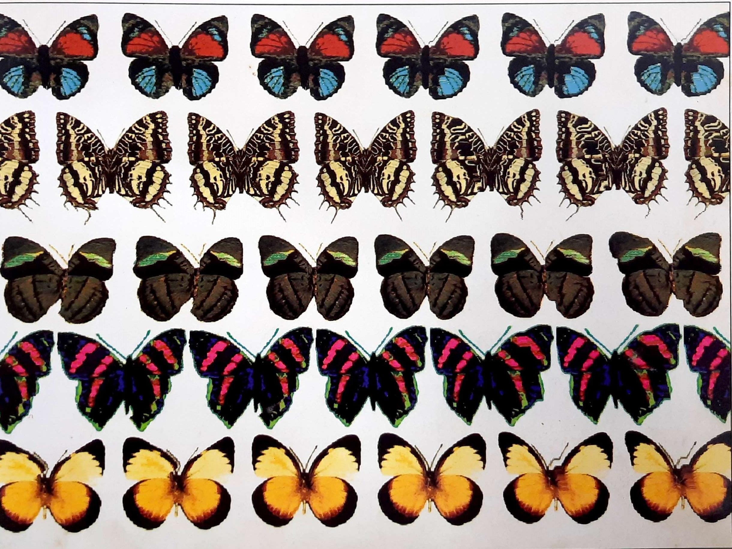 Stereogram 20